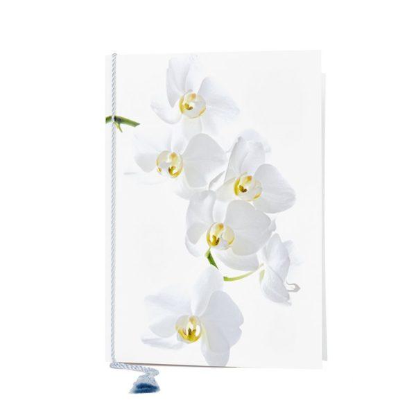 Adressi. Valkoiset orkideat.