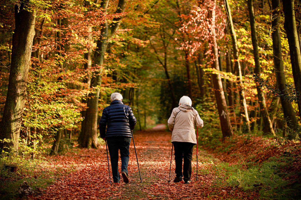 Kaksi iäkästä ihmistä sauvakävelee syksyisellä metsätiellä.