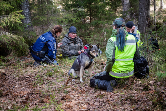 Kaksi etsijää ja koira sekä poliisi ovat löytäneet eksyneen iäkkään metsästä.